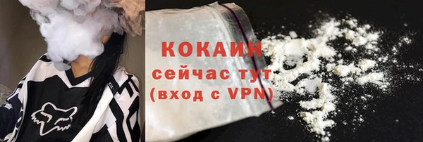 твердый Заводоуковск