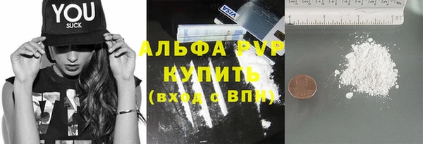 шишки Елизово