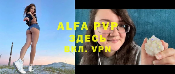 твердый Заводоуковск