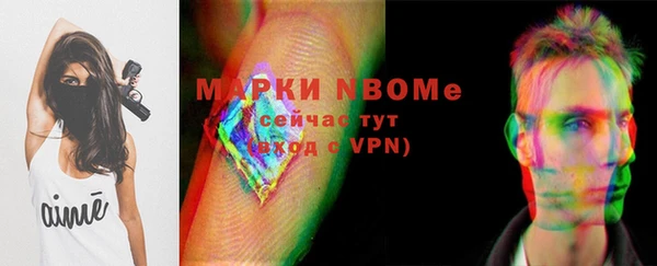 твердый Заводоуковск