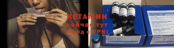шишки Елизово