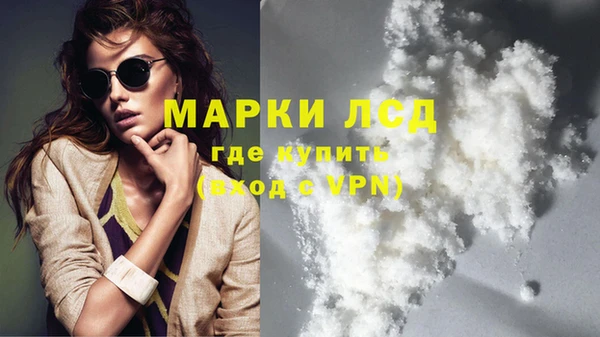 шишки Елизово