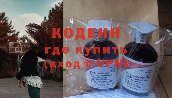 твердый Заводоуковск