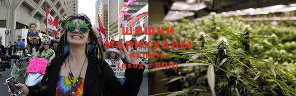 твердый Заводоуковск