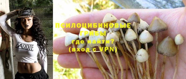 твердый Заводоуковск