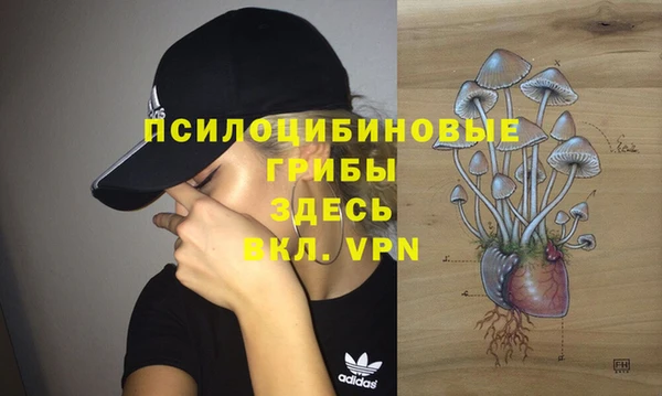 хмурый Заволжье